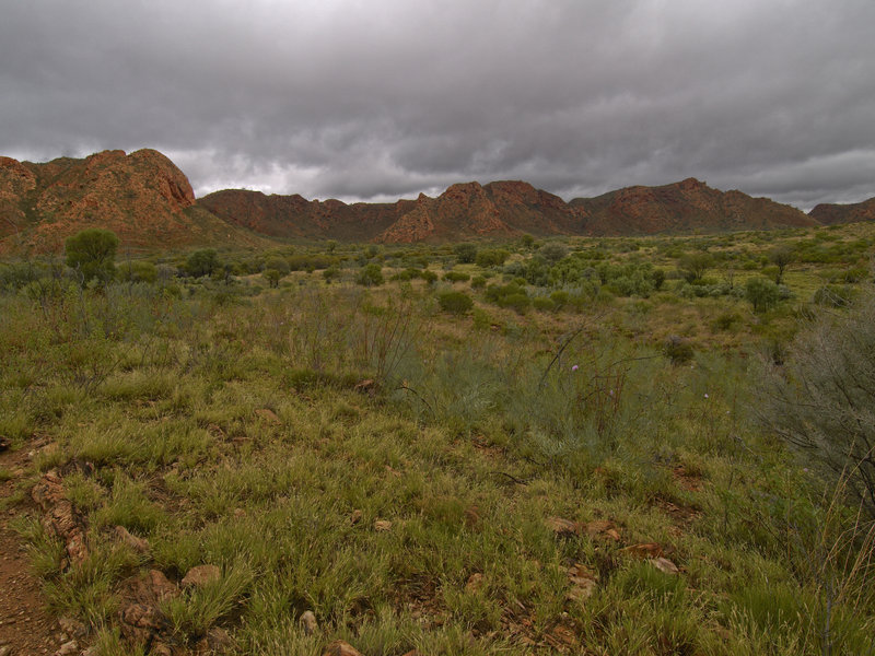 Mereeni Loop Road